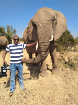 I almost wet myself when this elephant moved a little